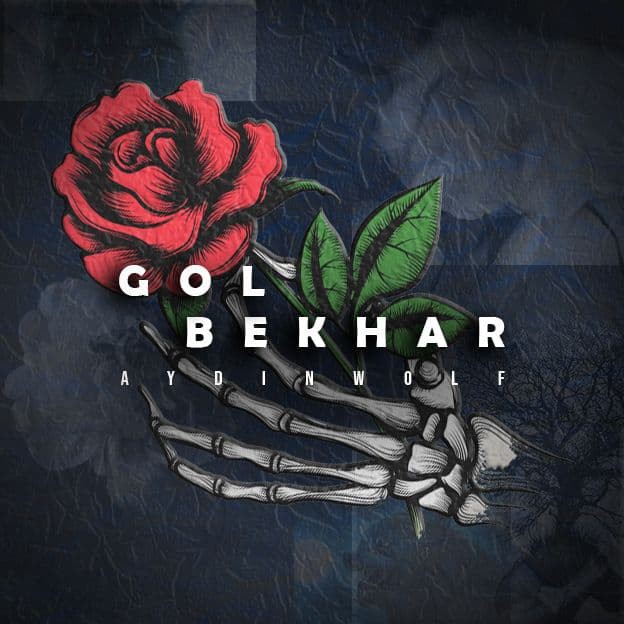آیدین ولف گل بخر