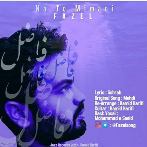 فاضل نه تو می مانی