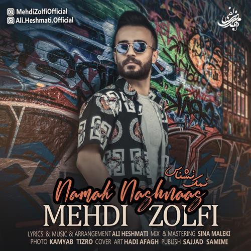 مهدی زلفی نمک نشناس
