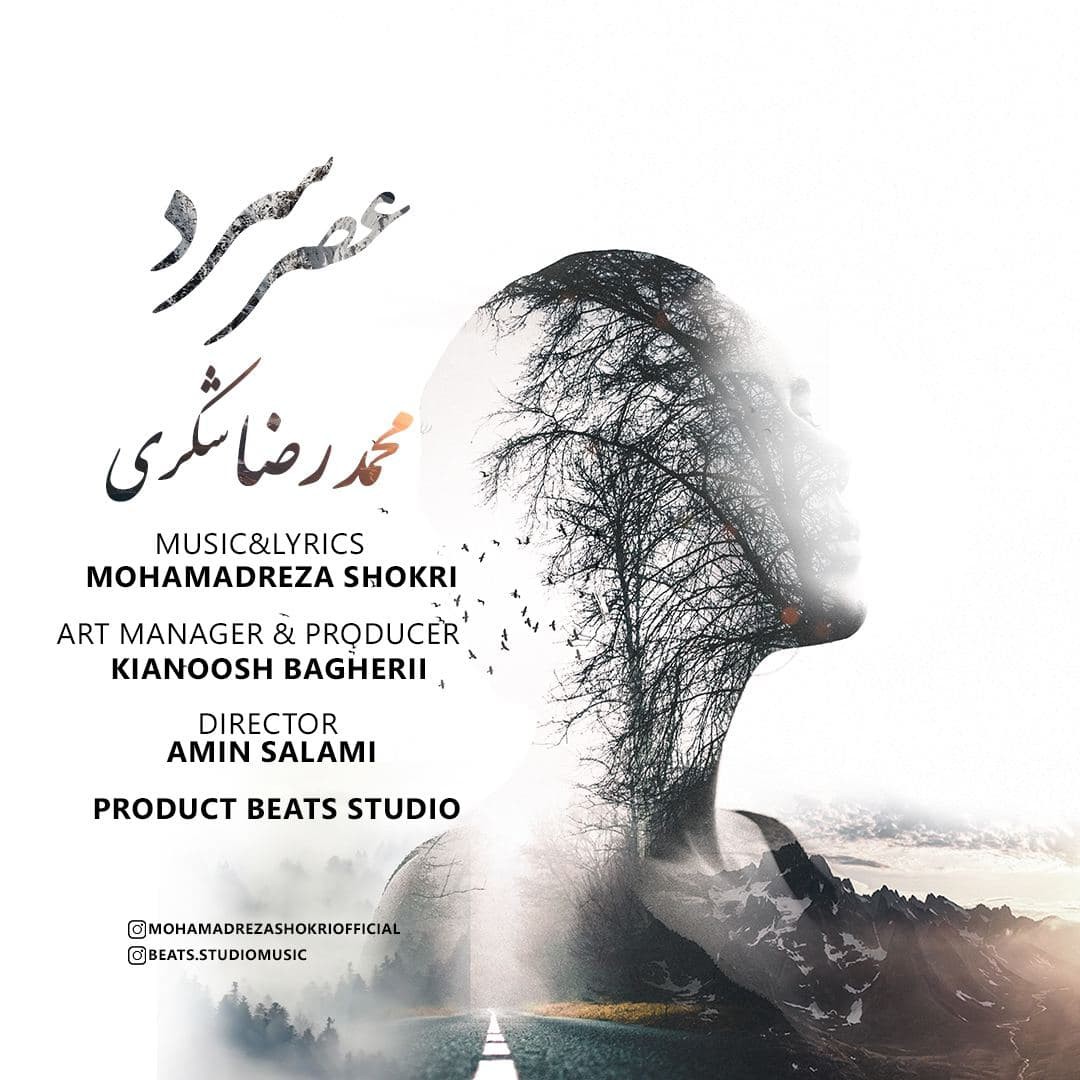 محمدرضا شکری عصر سرد
