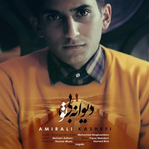 امیرعلی کاشفی دیوانه بی تو