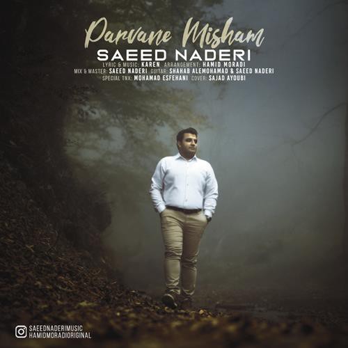 سعید نادری پروانه میشم
