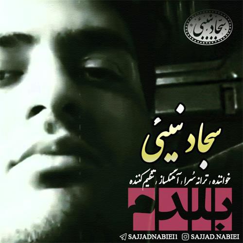 سجاد نبیئی بلدم