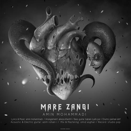 رامین محمدی مار زنگی
