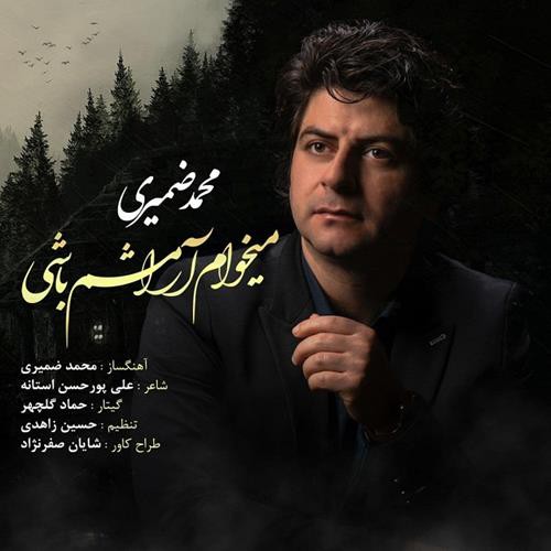 محمد ضمیری می‌خوام آرامشم باشی