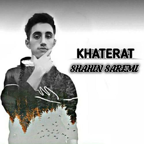 شاهین صارمی خاطرات