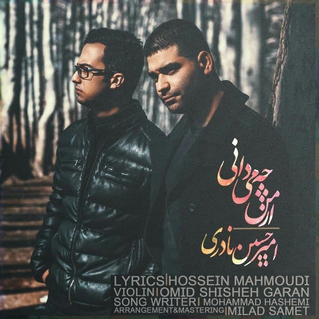 امیرحسین نادری از من چه میدانی