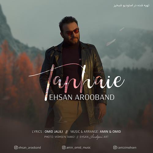 احسان آروبند تنهایی