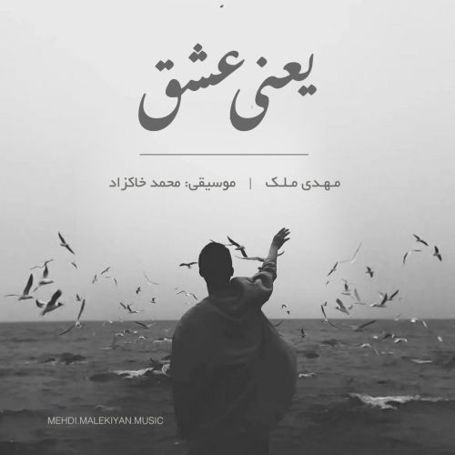 مهدی ملک يعنی عشق
