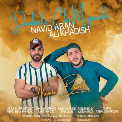 ناوالی بند دنبال چی میگردی