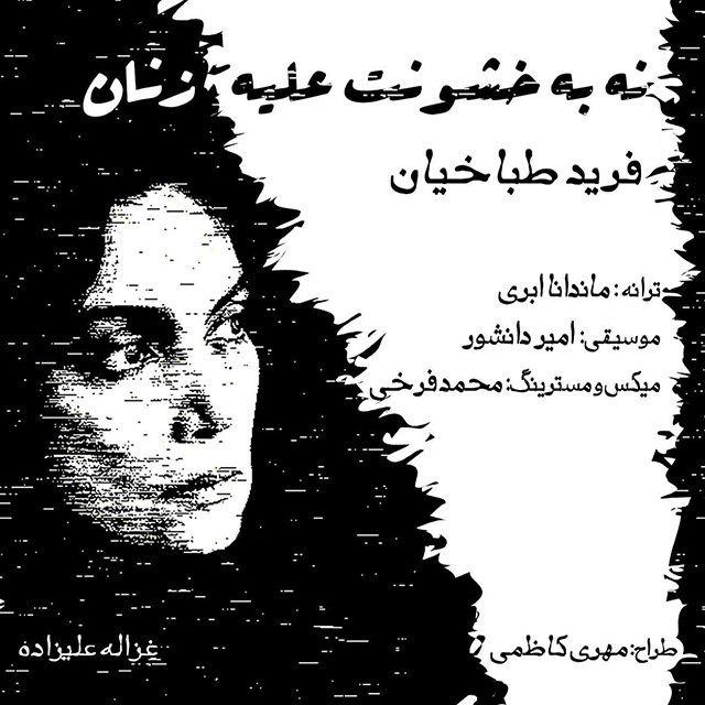 فرید طباخیان نه به خشونت علیه زنان