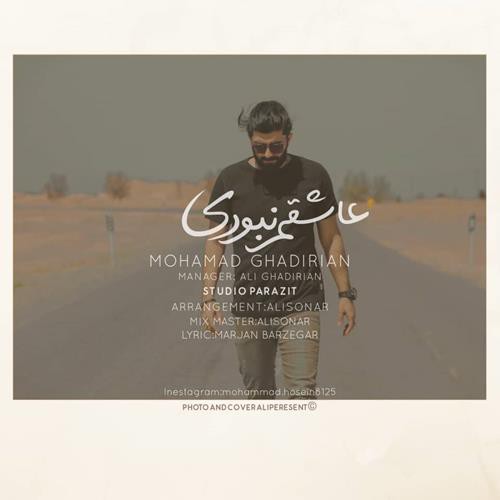 محمد قدیریان عاشقم نبودی