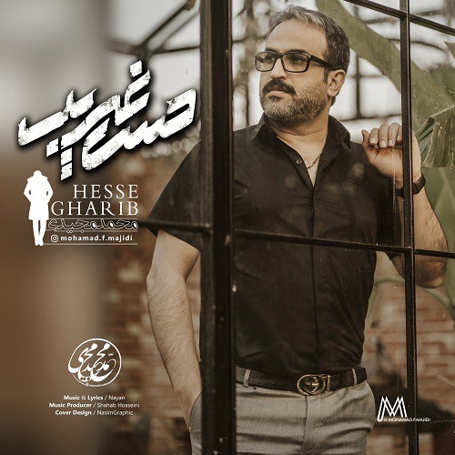 محمد مجیدی حس غریب