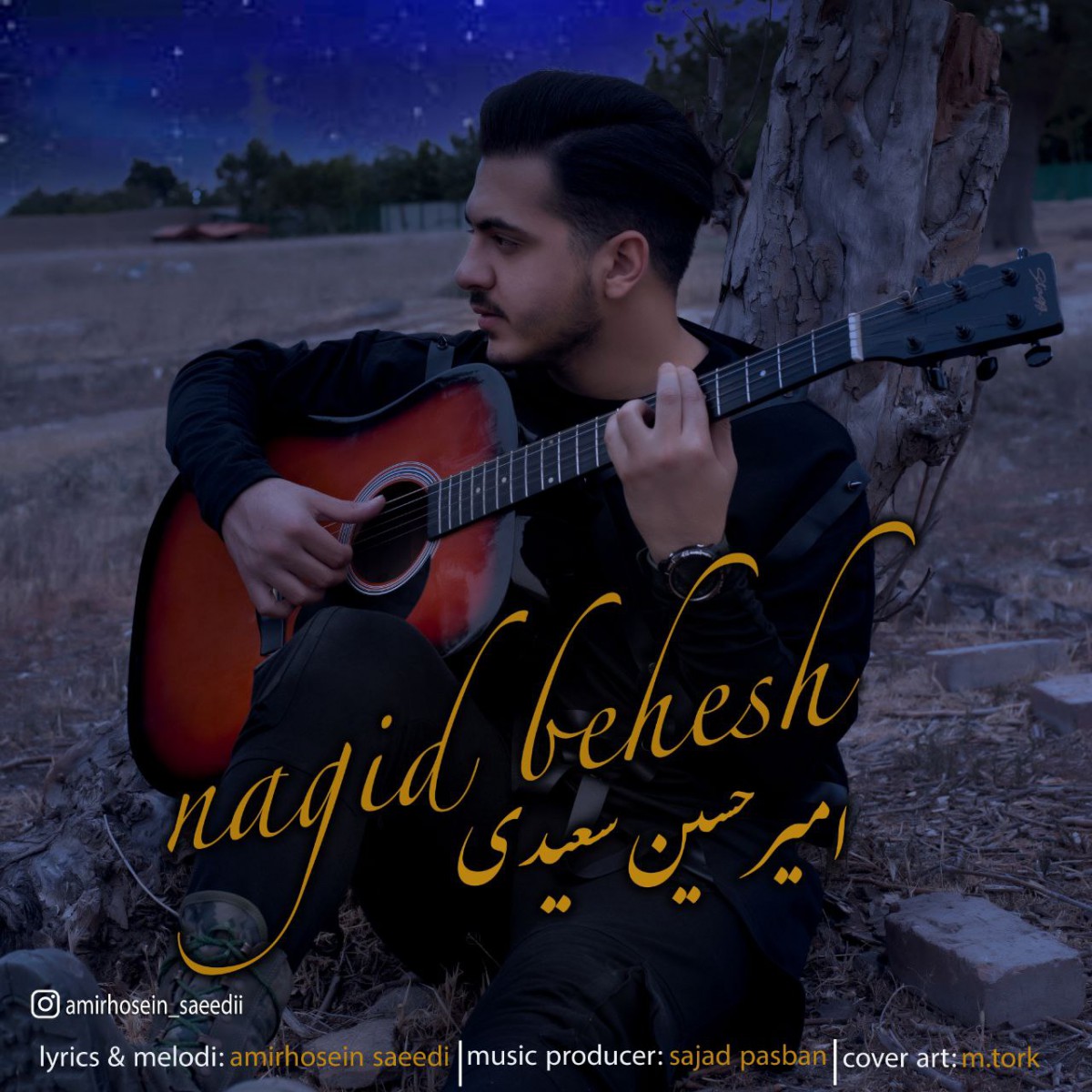 امیرحسین سعیدی نگید بهش