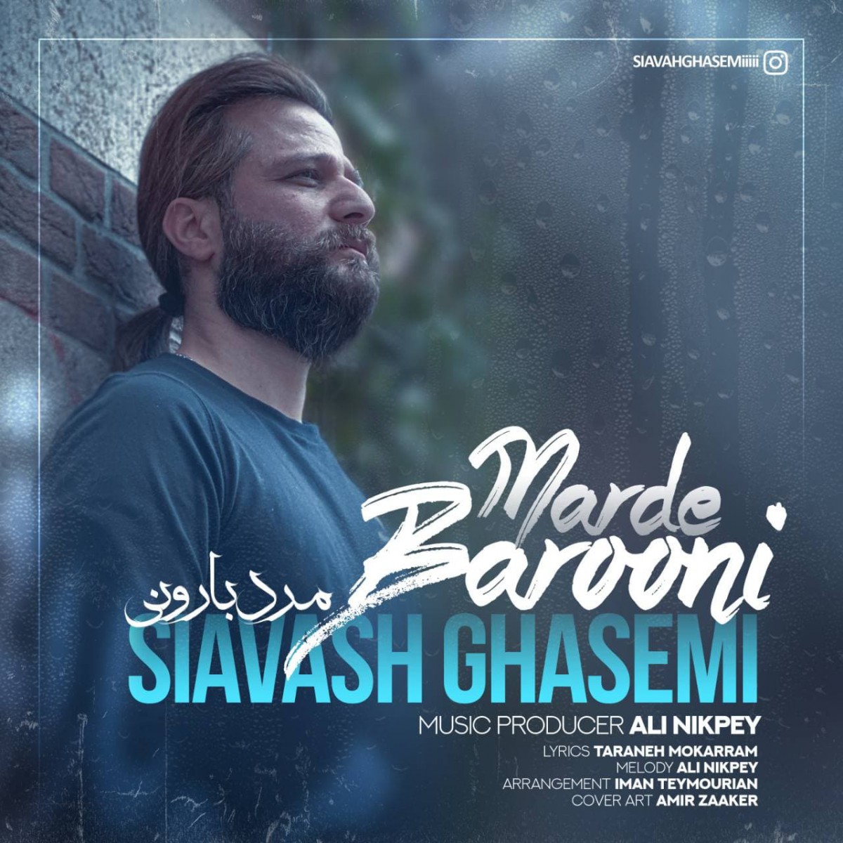 سیاوش قاسمی مرد بارونی