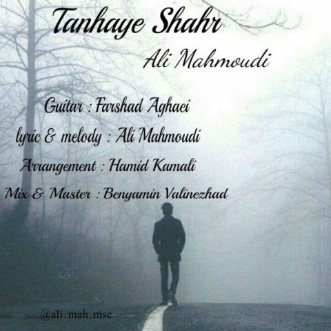 علی محمودی تنهای شهر