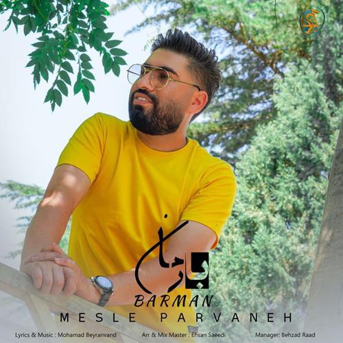 بارمان مثل پروانه