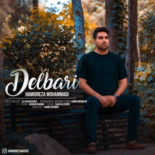 حمیدرضا محمدی دلبری