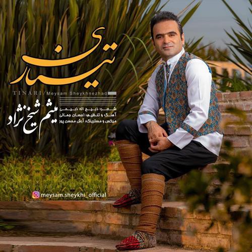 میثم شیخ نژاد تیناری