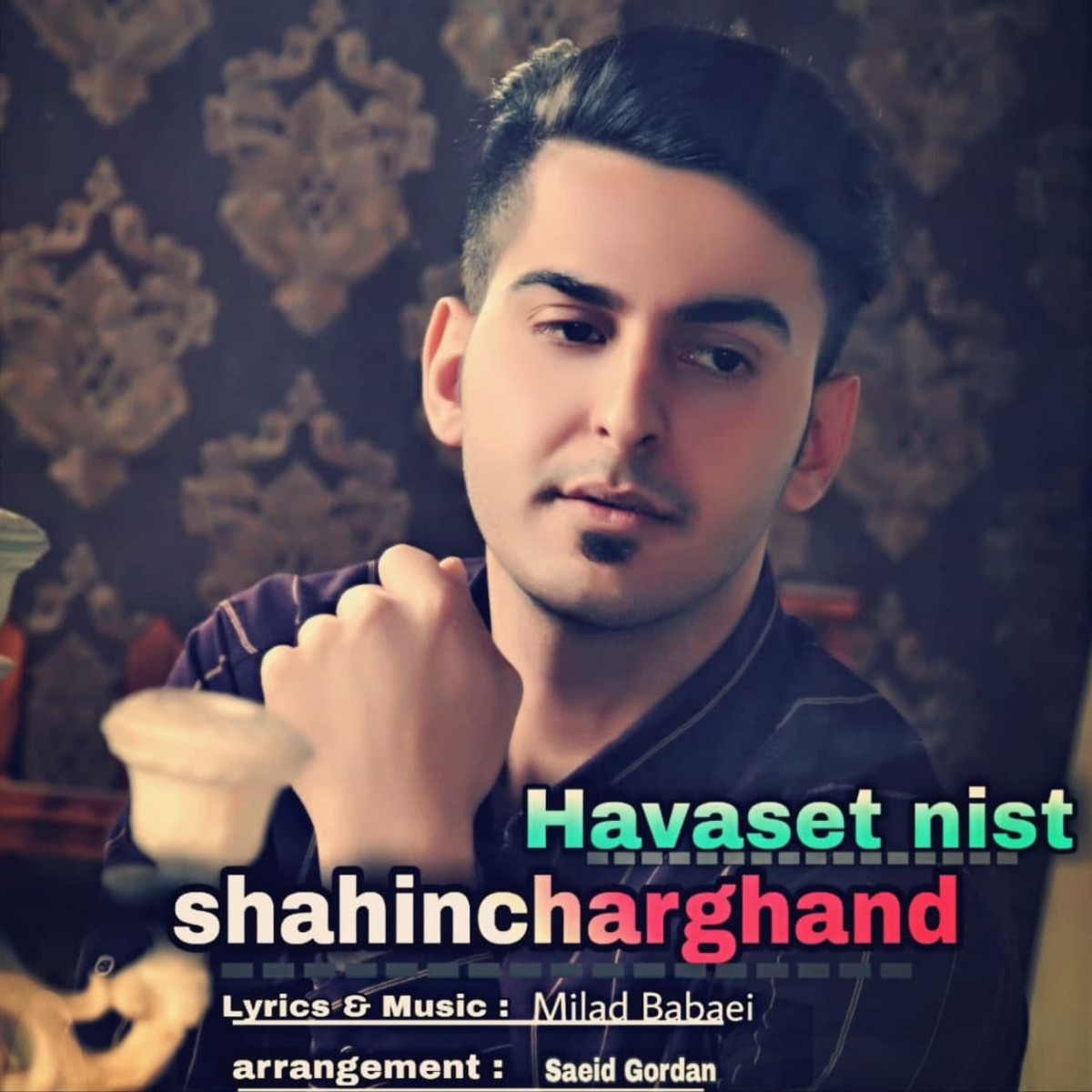 شاهین چرغند هواست نیست