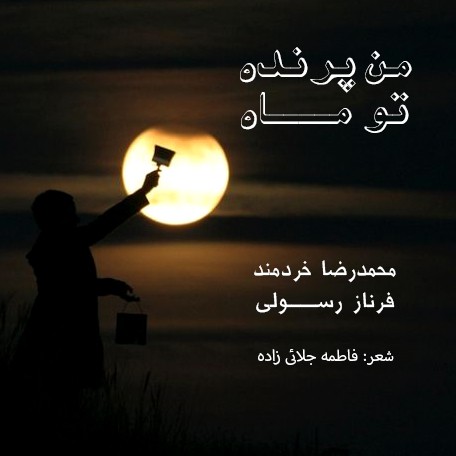 محمدرضا خردمند من پرنده تو ماه