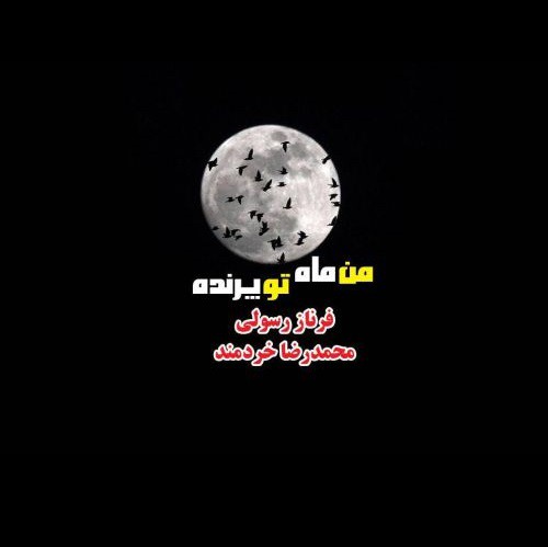 محمدرضا خردمند من پرنده تو ماه