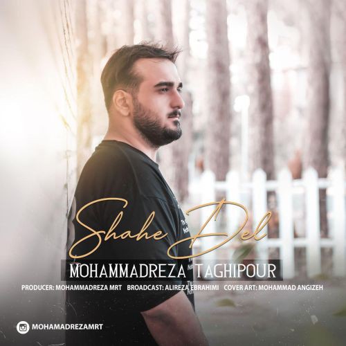 محمد رضا تقی پور شاهه دل