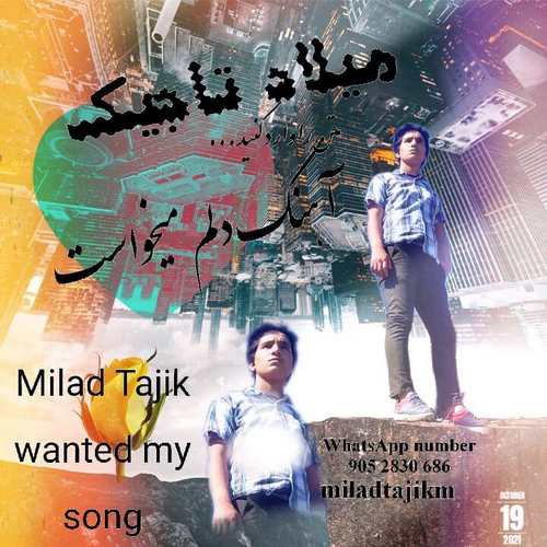 میلاد تاجیک دلم میخواست