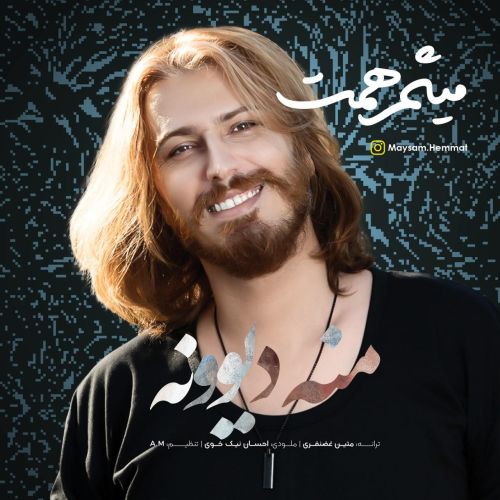 میثم همت منه دیوونه