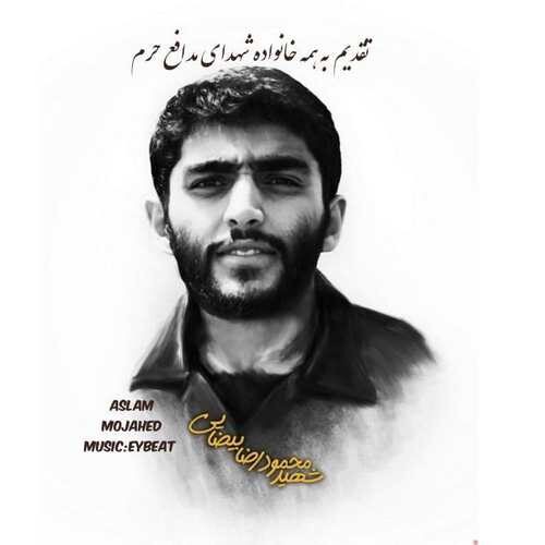 مجاهد السلام