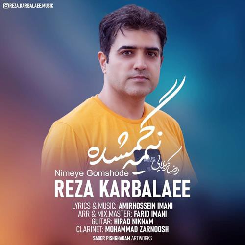 رضا کربلایی نیمه گمشده