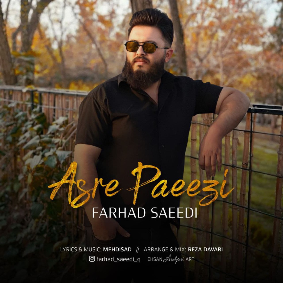 فرهاد سعیدی عصر پاییزی