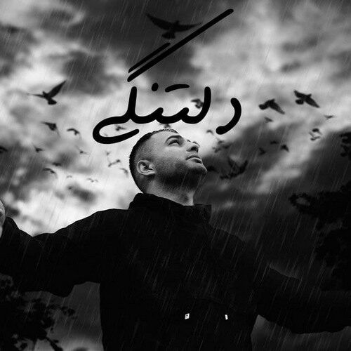 محمد امسی دلتنگی