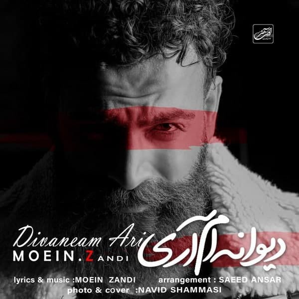 معین زندی دیوانه ام آری