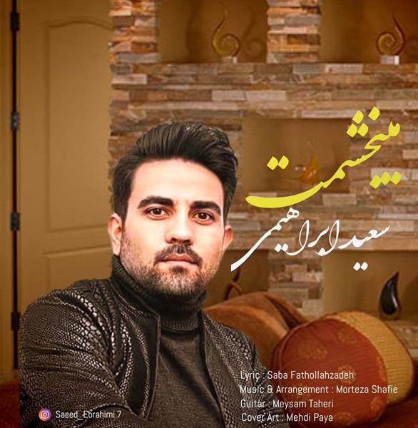 سعید ابراهیمی میبخشمت