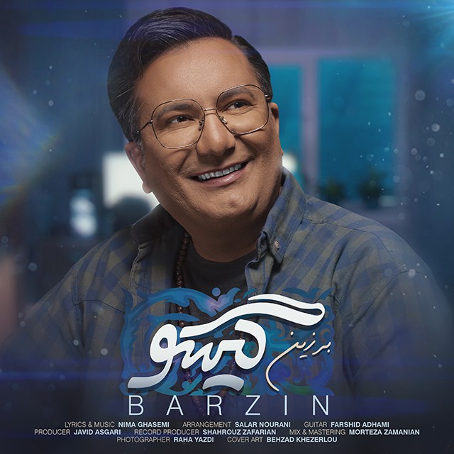 برزین گیسو