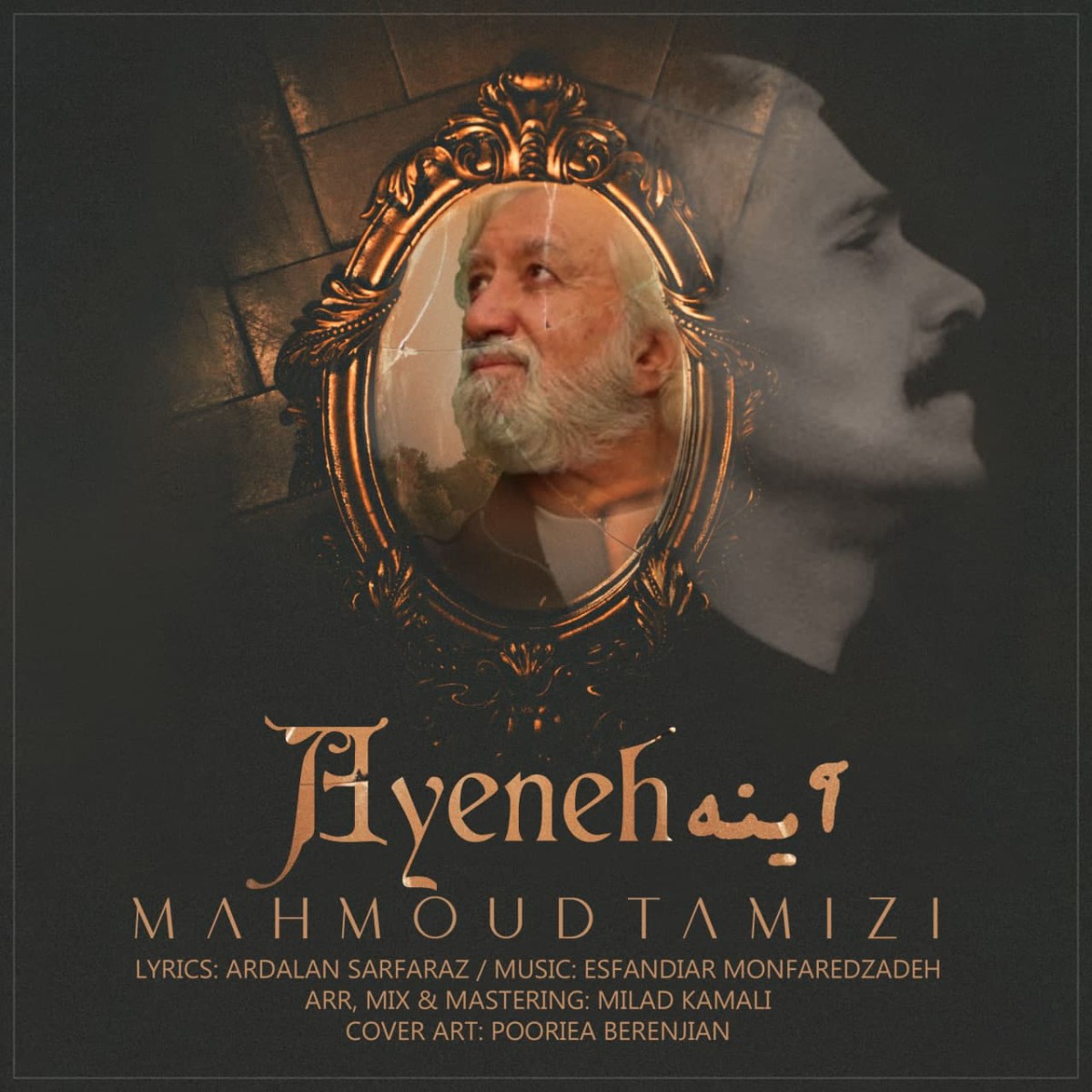 محمود تمیزی آینه