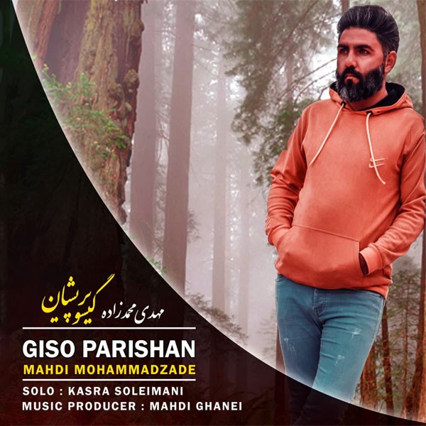 مهدی محمد زاده گیسو پریشان