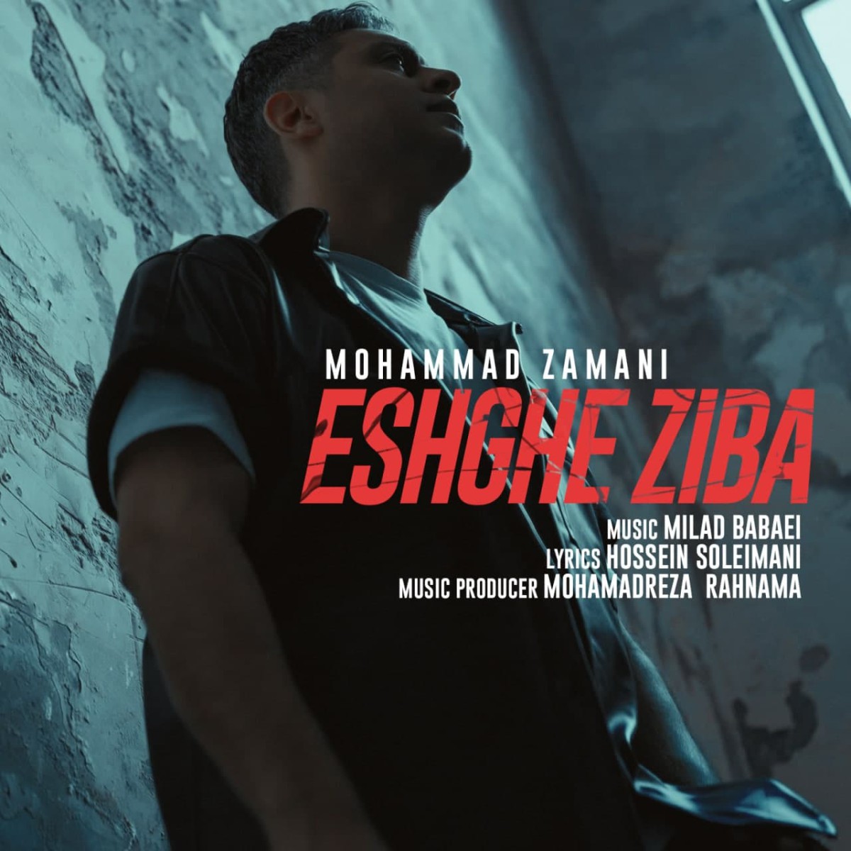 محمد زمانی عشق زیبا