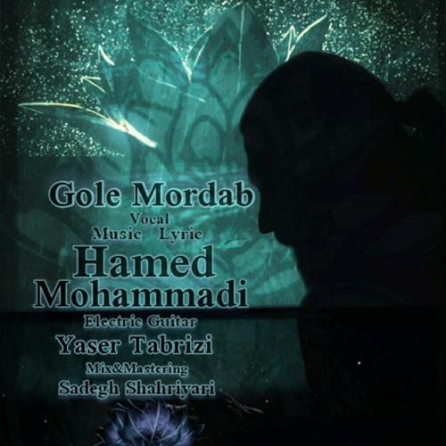 حامد محمدی گل مرداب