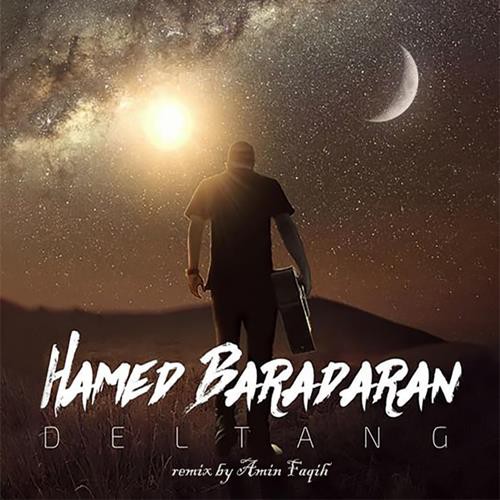 حامد برادران دلتنگ (امین فقیه ریمیکس)