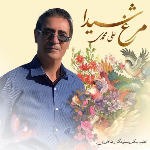 علی محمدی مرغ شیدا
