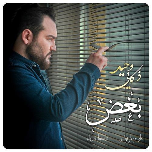 وحید ذکایی بغض