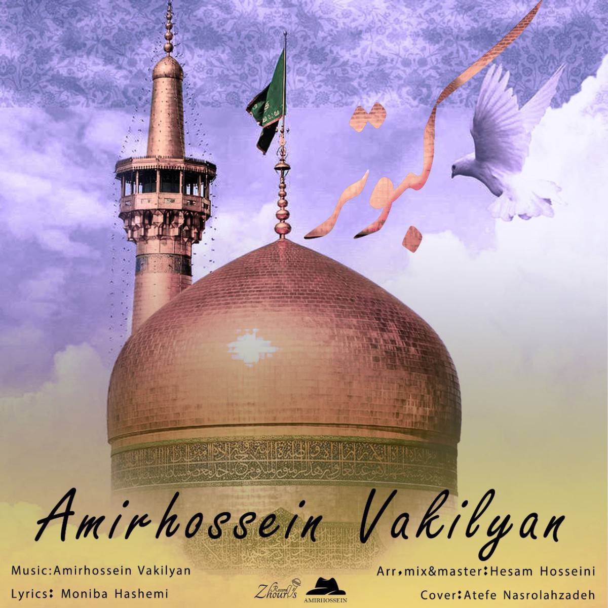 امیرحسین وکیلیان کبوتر