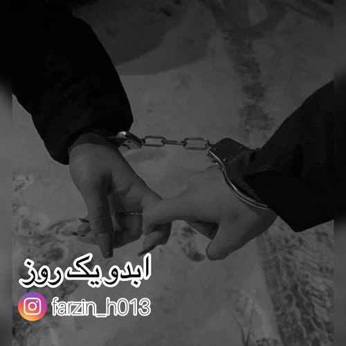 فرزین ۰۱۳ ابد و یک روز
