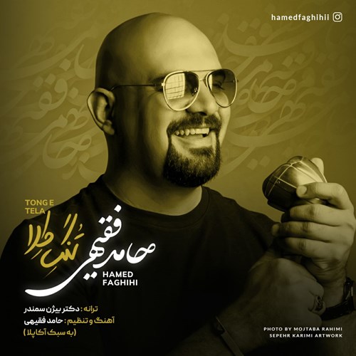 حامد فقیهی
