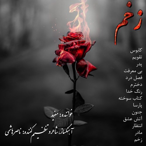 مفید زخم