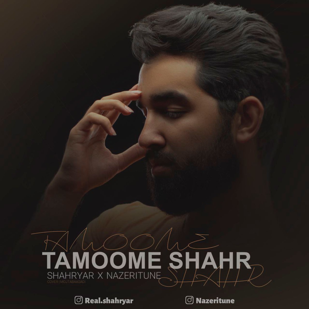 شهریار و ناظری تیون