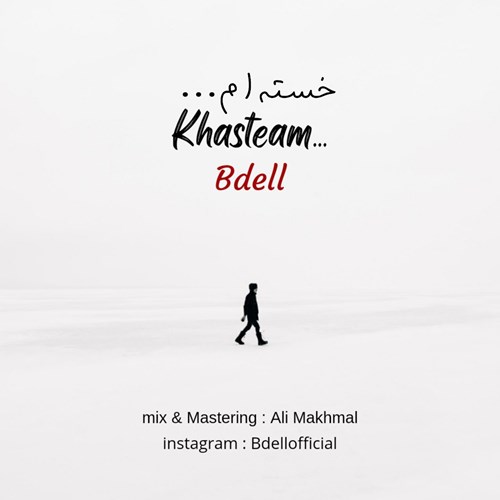 بی دل خسته ام