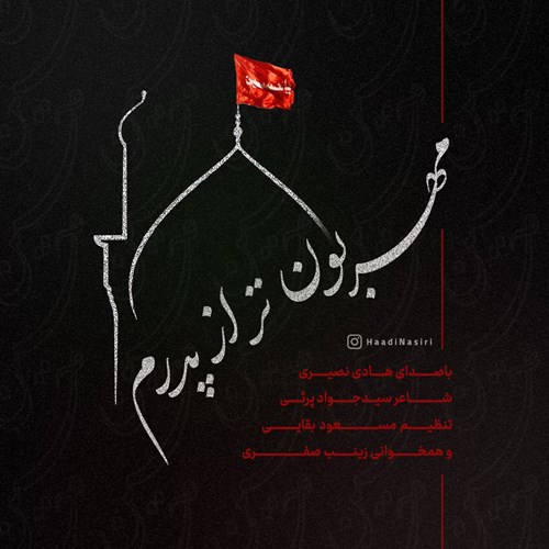 هادی نصیری